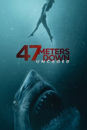 47 Meters Down: Uncaged (2019) Dual Audio | Hindi Full Movie BluRay 400MB