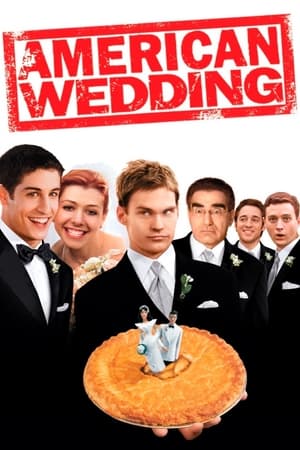 American Wedding (2003) Dual Audio | Hindi Full Movie BluRay [850MB]