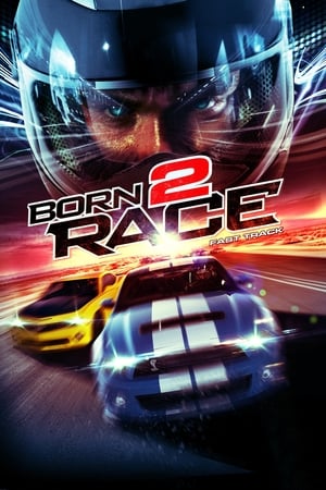 Born to Race Fast Track 2014 Dual Audio | Hindi Full Movie BluRay 320MB