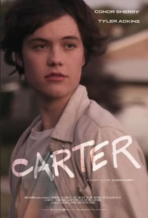Carter (2022) Dual Audio HDRip | Hindi Full Movie – 480p