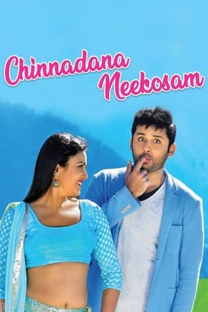 Chinnadana Nee Kosam 2014 Dual Audio | Hindi Full Movie BluRay [1.5GB]