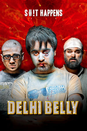Delhi Belly 2011 Full Movie Download DVDRip | Hindi Full Movie [750MB]