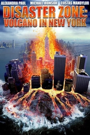 Disaster Zone Volcano in New York 2006 Dual Audio | Hindi Full Movie HDRip [860MB]