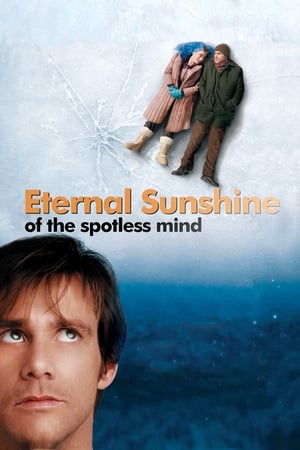 Eternal Sunshine Of The Spotless Mind 2004 Dual Audio | Hindi Full Movie BluRay 300MB