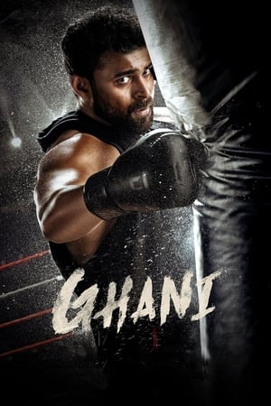 Ghani 2022 (HQ DUB) HDRip | Hindi Full Movie – 480p