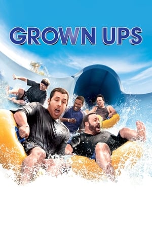 Grown Ups (2010) Dual Audio | Hindi Full Movie BluRay [800MB]