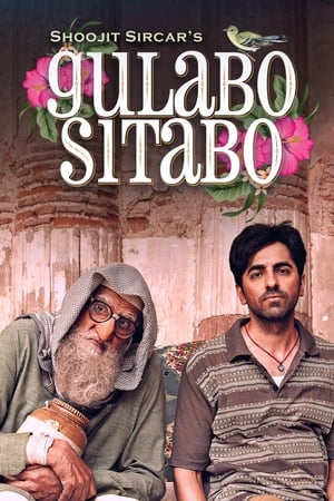 Gulabo Sitabo 2020 Movie | Hindi Full Movie HDRip - [360MB]