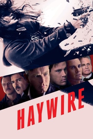 Haywire (2011) Dual Audio | Hindi Full Movie BluRay [700MB]