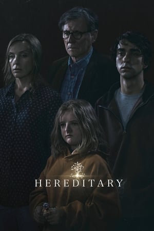 Hereditary 2018 Dual Audio HDRip | Hindi Full Movie – 480p