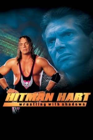 Hitman (1998) Dual Audio | Hindi Full Movie UnCut HDRip [1.1GB]