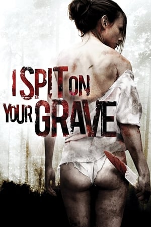I Spit on Your Grave 2010 Dual Audio | Hindi Full Movie BluRay [1.1GB]