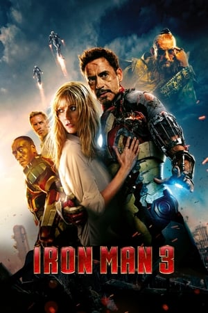 Iron Man 3 (2013) Dual Audio | Hindi Full Movie BluRay 300MB
