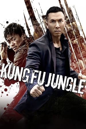 Kung Fu Jungle (2014) Dual Audio | Hindi Full Movie BluRay [800MB]