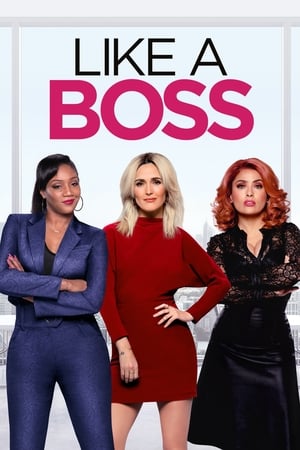 Like a Boss (2020) Dual Audio | Hindi Full Movie Web-DL [760MB]