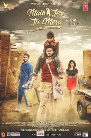 Main Teri Tu Mera 2016 Punjabi | Hindi Full Movie HDRip ESubs [1.1 GB]
