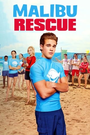 Malibu Rescue (2019) Dual Audio | Hindi Full Movie HDRip 650MB