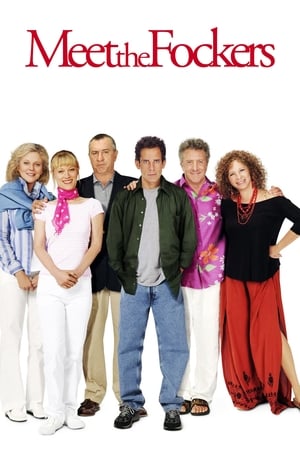 Meet the Fockers 2004 Dual Audio | Hindi Full Movie BluRay 350MB