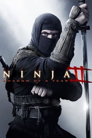 Ninja Shadow of a Tear 2013 Dual Audio | Hindi Full Movie BluRay [800MB]