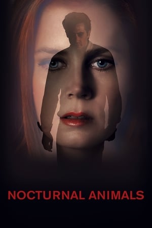Nocturnal Animals (2016) Dual Audio | Hindi Full Movie BluRay [1GB]