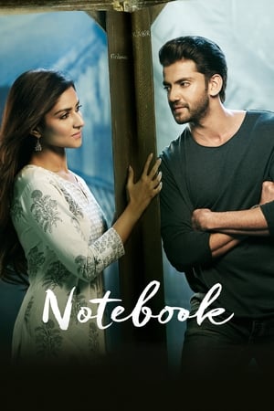 Notebook (2019) Movie | Hindi Full Movie HDRip x264 [1.4GB]