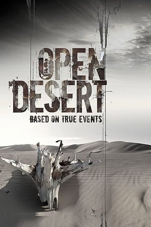 Open Desert (2013) Dual Audio HDRip | Hindi Full Movie – 480p