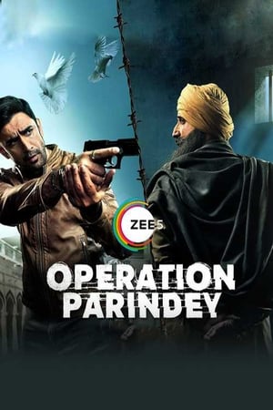 Operation Parindey 2020 Movie | Hindi Full Movie HDRip x264 [500MB]