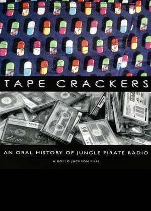 Pirate Radio (2009) Dual Audio | Hindi Full Movie BluRay [1GB]