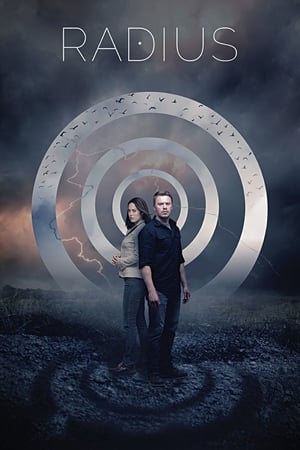 Radius (2017) Dual Audio | Hindi Full Movie BluRay 300MB