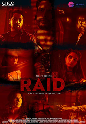 Raid 2019 Movie | Hindi Full Movie HDRip - [250MB]
