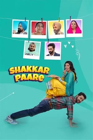 Shakkar Paare 2022 Punjabi Movie Pre-DVDRip | Hindi Full Movie – 480p