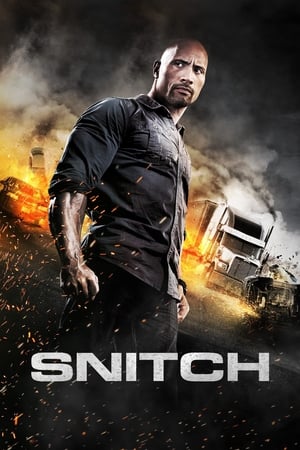 Snitch (2013) Dual Audio | Hindi Full Movie BluRay [930MB]