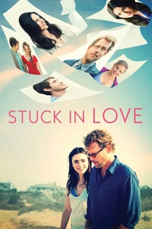 Stuck in Love (2012) Dual Audio | Hindi Full Movie BluRay 300MB