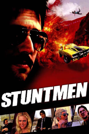 Stuntmen 2009 Dual Audio | Hindi Full Movie WebRip [800MB]