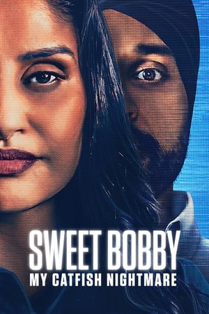 Sweet Bobby: My Catfish Nightmare (2024) Dual Audio HDRip | Hindi Full Movie – 720p – 480p