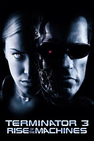 Terminator 3: Rise of the Machines (2003) Dual Audio | Hindi Full Movie BluRay 350MB