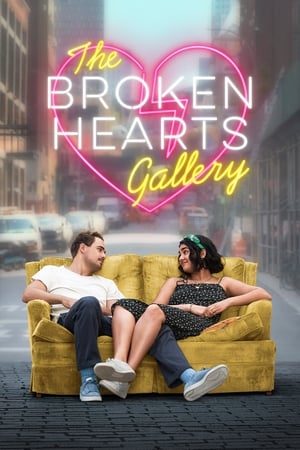 The Broken Hearts Gallery (2020) Dual Audio | Hindi Full Movie Web-DL 340MB