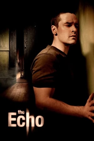 The Echo (2008) Dual Audio | Hindi Full Movie BluRay 300MB