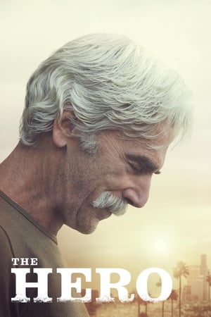 The Hero (2017) Movie | Hindi Full Movie HDRip - [300MB]