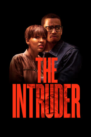 The Intruder (2019) Dual Audio | Hindi Full Movie Web-DL 300MB