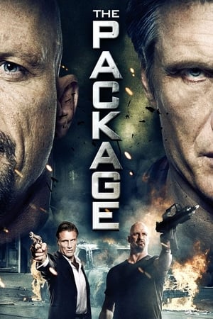 The Package (2013) Dual Audio | Hindi Full Movie HDRip [750MB]