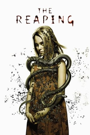 The Reaping (2007) Dual Audio | Hindi Full Movie BluRay [700MB]