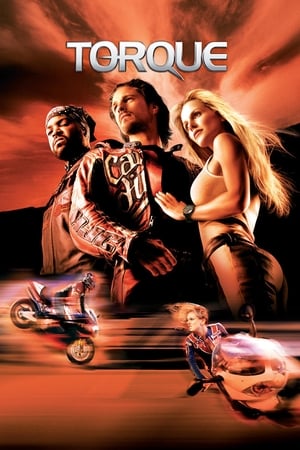 Torque 2004 Dual Audio BRRip | Hindi Full Movie [600MB] Download