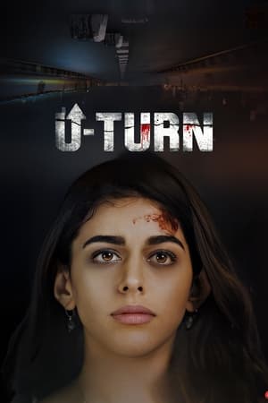U-Turn (2023) HDRip | Hindi Full Movie | 480p