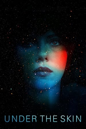 Under the Skin 2013 Dual Audio | Hindi Full Movie BluRay [850MB]
