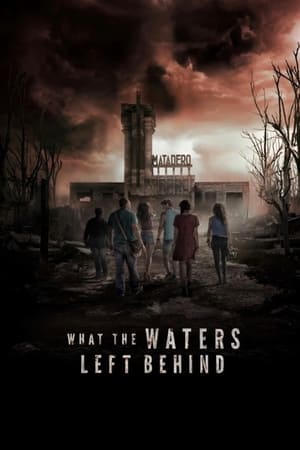 What the Waters Left Behind 2017 Dual Audio HDRip | Hindi Full Movie – 480p