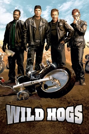 Wild Hogs (2007) Dual Audio | Hindi Full Movie BluRay 340MB