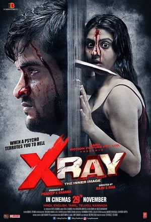 X Ray The Inner Image 2019 Movie | Hindi Full Movie HDRip - [300MB]