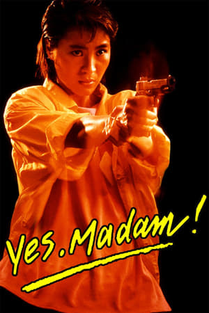 Yes Madam 1985 300MB Dubbed BRRip | Hindi Full Movie Download