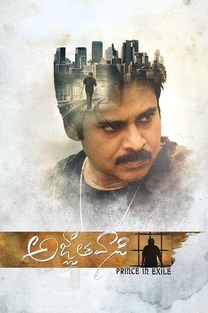 Yevadu 3 (Agnyaathavaasi) 2018 Movie Dual Audio | Hindi Full Movie UnCut HDRip [1.5GB]